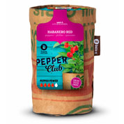 Kit de Cultura - Pimento - Habanero Red